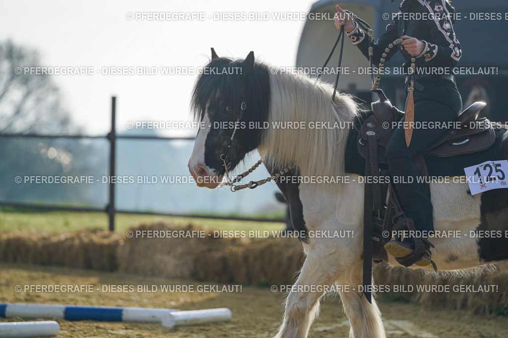 DSC00176 | Pferdegrafie