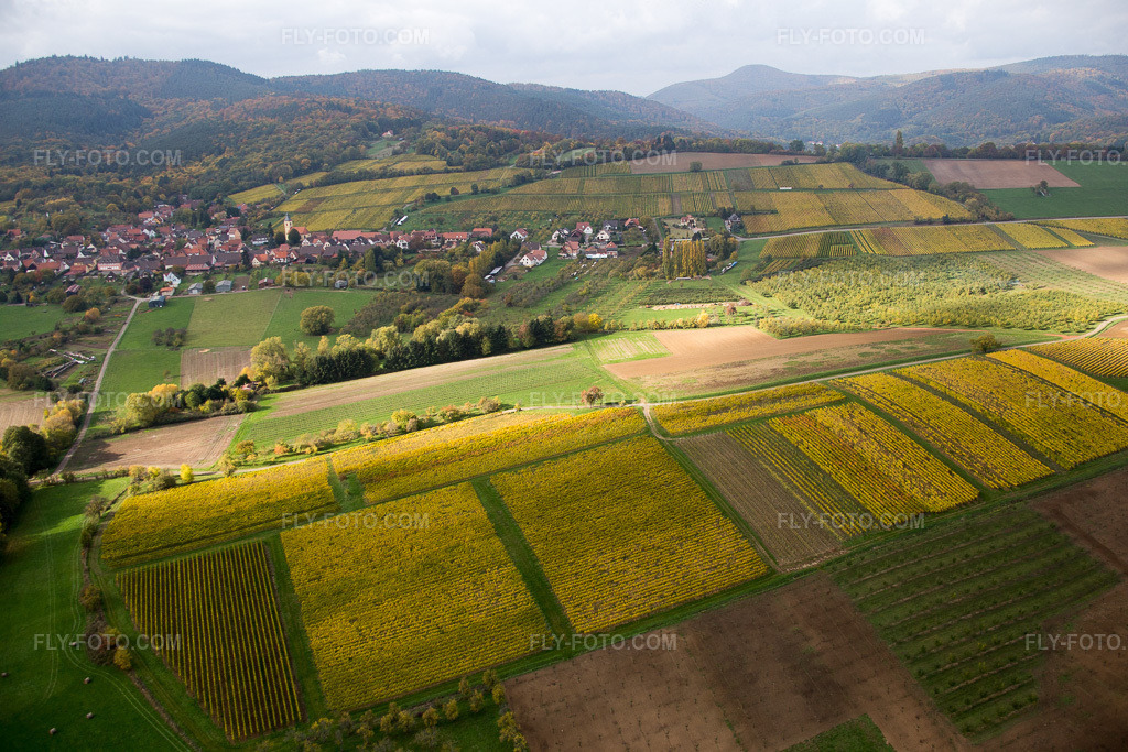 Aerial view: View of the town in Rott in the state Bas-Rhin, France.Photo: IMG_084597.jpg taken on 10/23/2015 by Werner Riehm/FLY-FOTO.comResolution of the original: 5472 x 3648 px