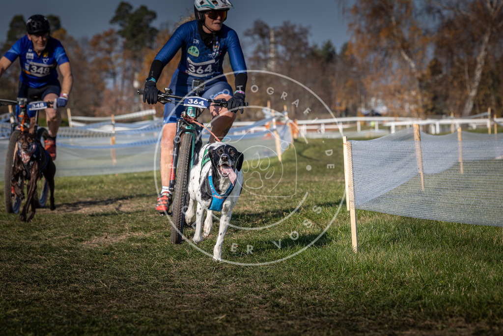 CaniXpix_0L8A7997 | Hundefotografie, Tierfotograf, Pfotenfotografie, Fotoshooting Hund, Hunde Portrait, Hundesport, Hundeportraits, Heideshooting, Hunde, Sportfotograf, Hundefotograf, Turnierhundsport, THS,  - Realisiert mit Pictrs.com
