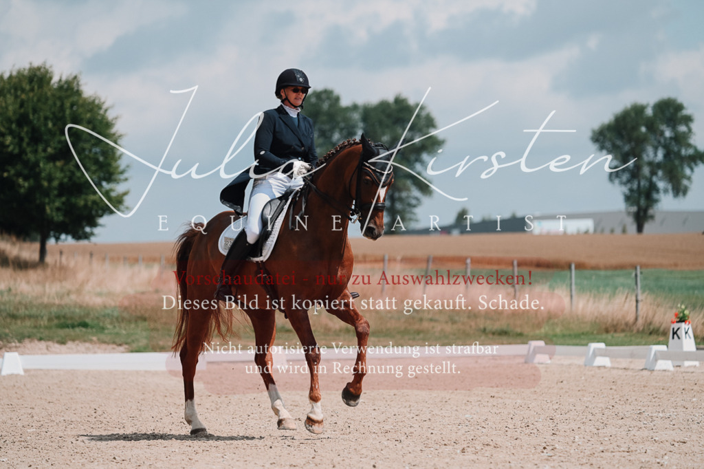 DSC_3827 | Pferde- und Turnierfotografie in Westsachsen. Pferdeportraits, Auftragszeichnungen und intuitive Kunst.