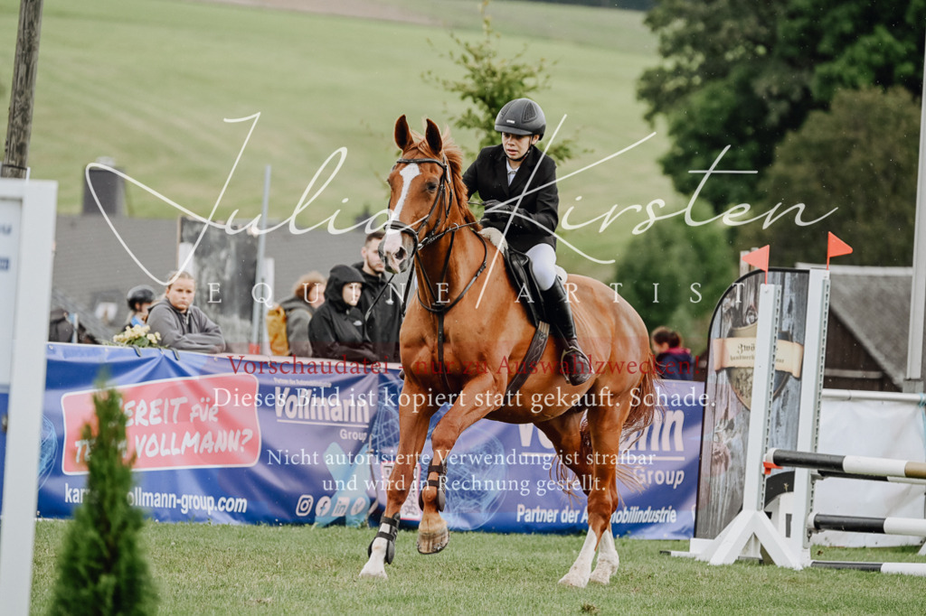 DSC_6854 | Pferde- und Turnierfotografie in Westsachsen. Pferdeportraits, Auftragszeichnungen und intuitive Kunst.