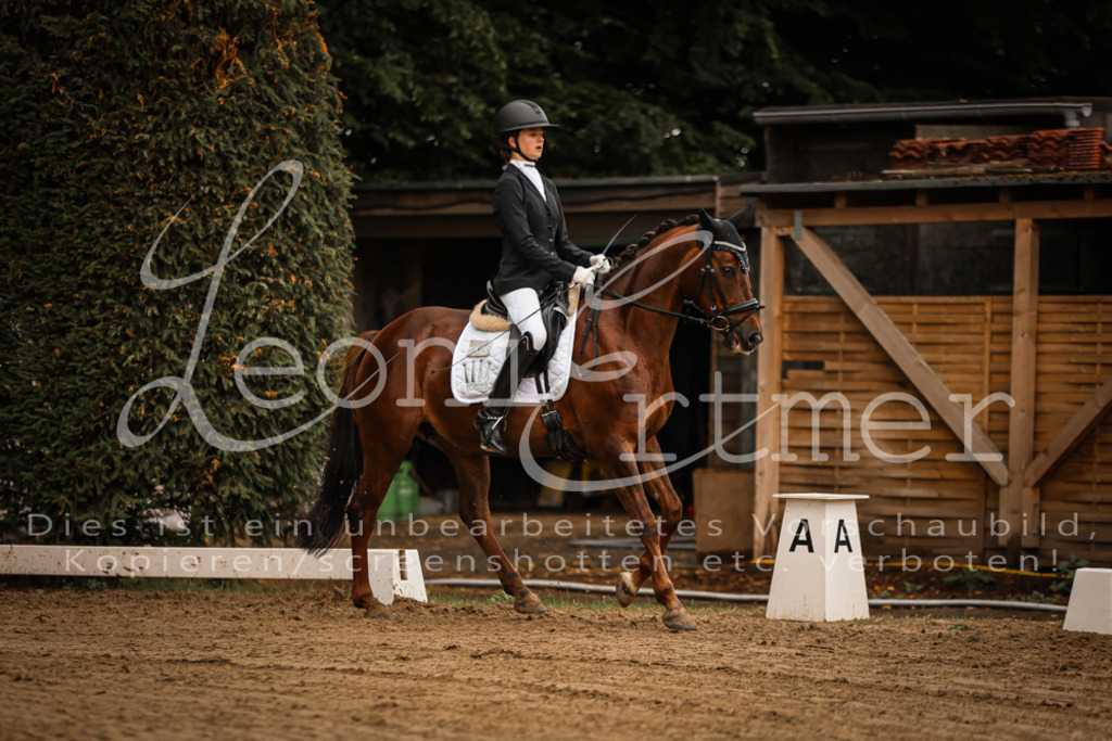 17.SoDrL00142 | Leoni Ertmer Photography - Realisiert mit Pictrs.com