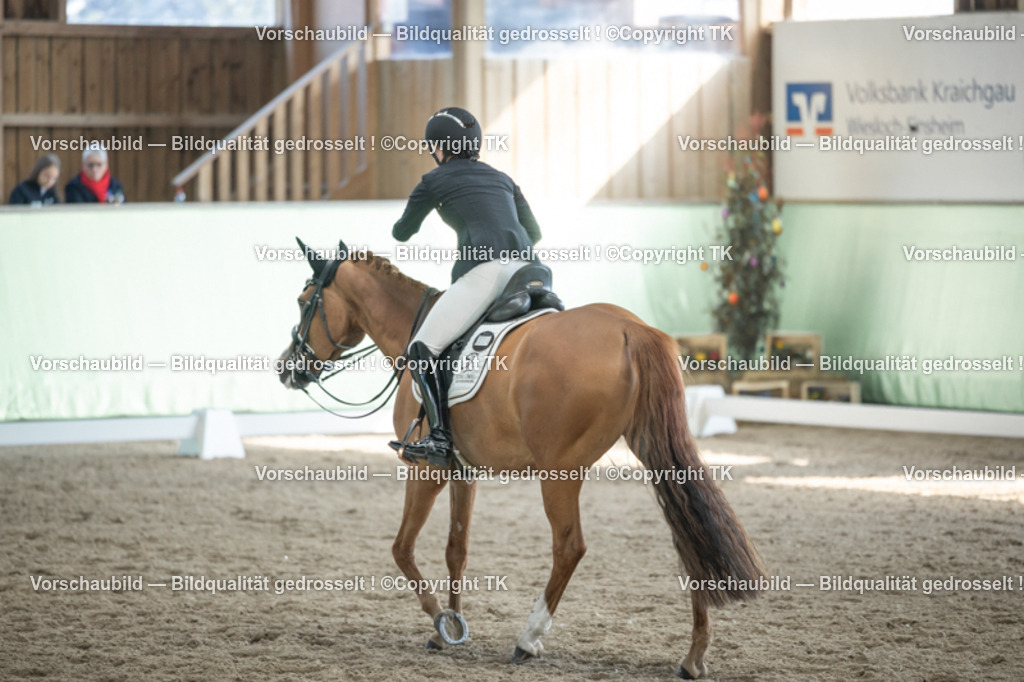 _D5A2599 | Emotionale Pferde- & People-Fotografie rund um Heidelberg, Leimen & Umgebung. Natürliche Fotos von Pferd, Mensch & Familie. Jetzt Termin sichern!