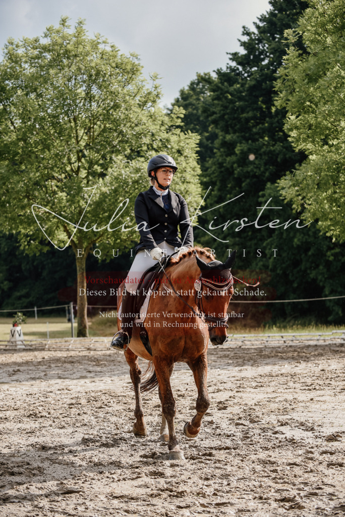 DSC_8912 | Pferde- und Turnierfotografie in Westsachsen. Pferdeportraits, Auftragszeichnungen und intuitive Kunst.