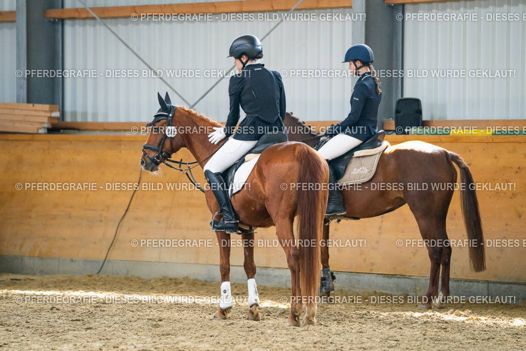 DSC02079 | Pferdegrafie