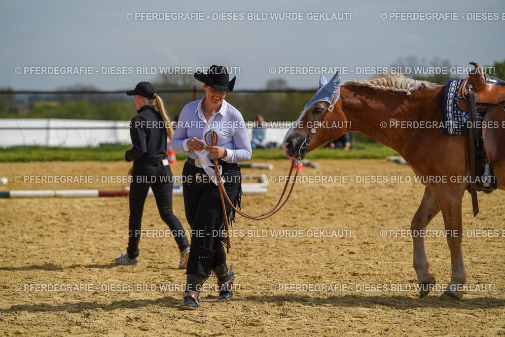 DSC04239 | Pferdegrafie