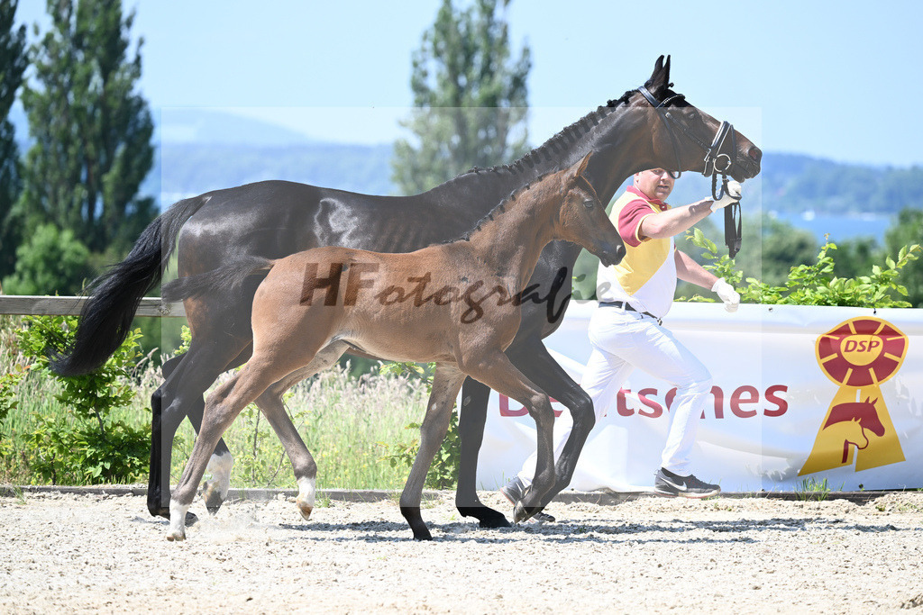Kat-Nr. 6 SF Escolar_Knott_15230349 | hf-fotografie - Realizzato con Pictrs.com