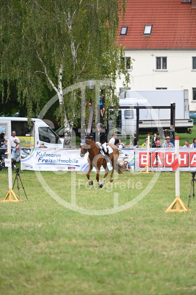 DSC_1576 | sattelsport - Realisiert mit Pictrs.com