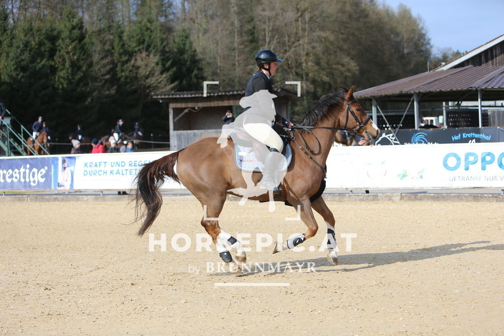 DL2Q8473 | Willkommen bei Brunnmayr - Design & Fotografie – Ihrem Spezialisten für Reitturniere und Pferdeveranstaltungen in Oberösterreich, Salzburg und Bayern! Seit über 17 Jahren sind wir leidenschaftlich dabei.