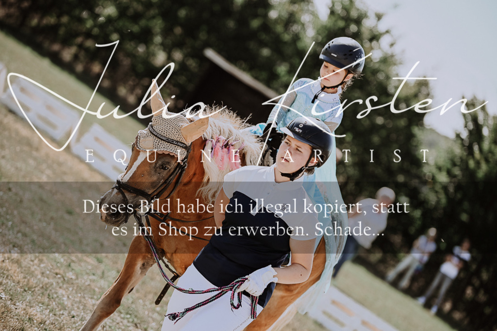 DSC_9031 | Pferde- und Turnierfotografie in Westsachsen. Pferdeportraits, Auftragszeichnungen und intuitive Kunst.