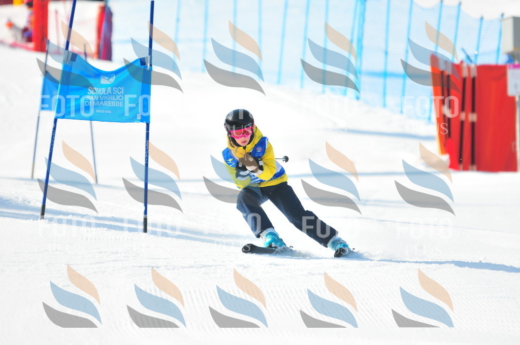 B8789 | holidayphoto