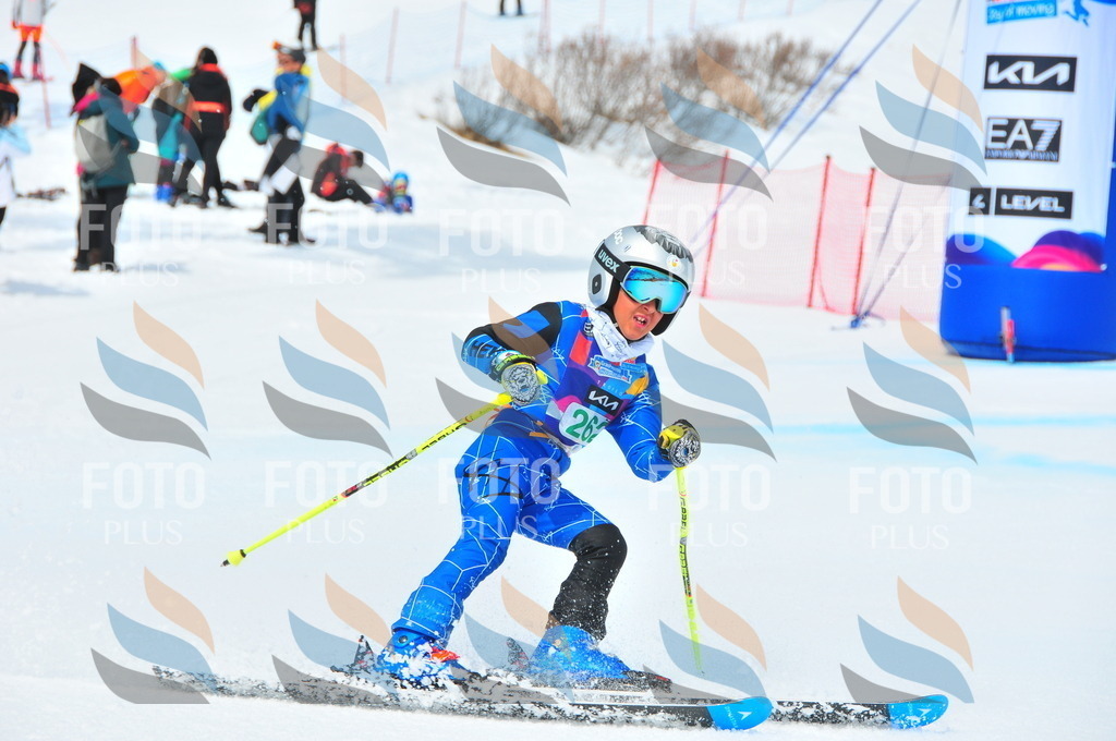 DSC_2449 | holidayphoto