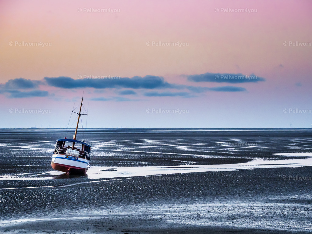 MS Gebru__der bei Ebbe | Pellwormer Bilder und Fotos als Poster, auf Leinwand mit Keilrahmen, hinter Acrylglas, auf Alu-Dibond oder Forex-Platte und vieles mehr. Zum verschenken, für die Ferienwohnung oder für zu Hause. - Realisiert mit Pictrs.com