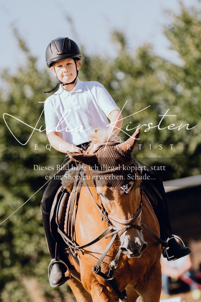 DSC_6955 | Pferde- und Turnierfotografie in Westsachsen. Pferdeportraits, Auftragszeichnungen und intuitive Kunst.