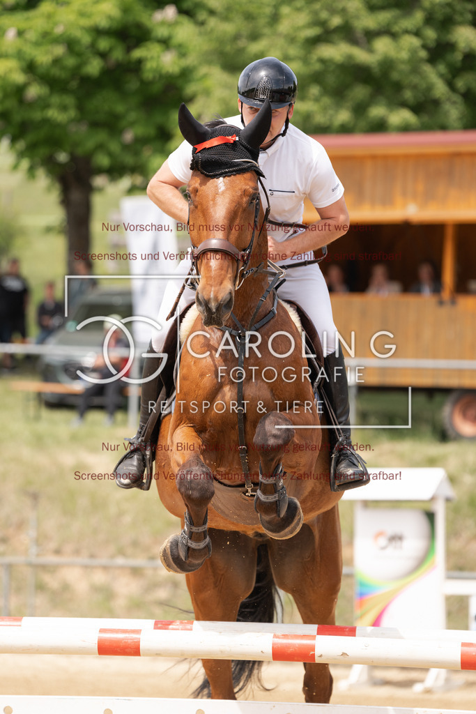 DSC06629 | Springturnier_Ehingen_Mai_2026, jürgen_hartmann, Elano_50