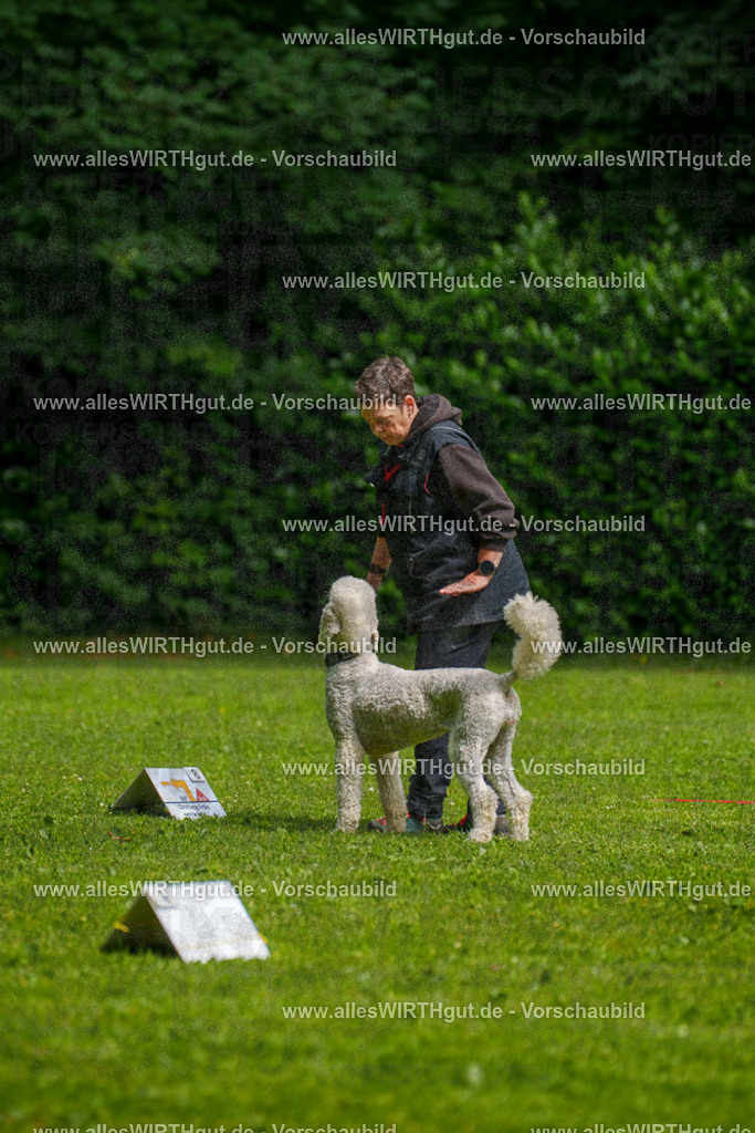 @allesWIRTHgut_Tierfotografie - www.allesWIRTHgut.de - 7R503573 | Professionelle Tierfotografie in Mönchengladbach von Daniel Wirth (allesWIRTHgut). Liebevolle & natürliche Bilder von Hunden & Katzen für unvergessliche Erinnerungen.
