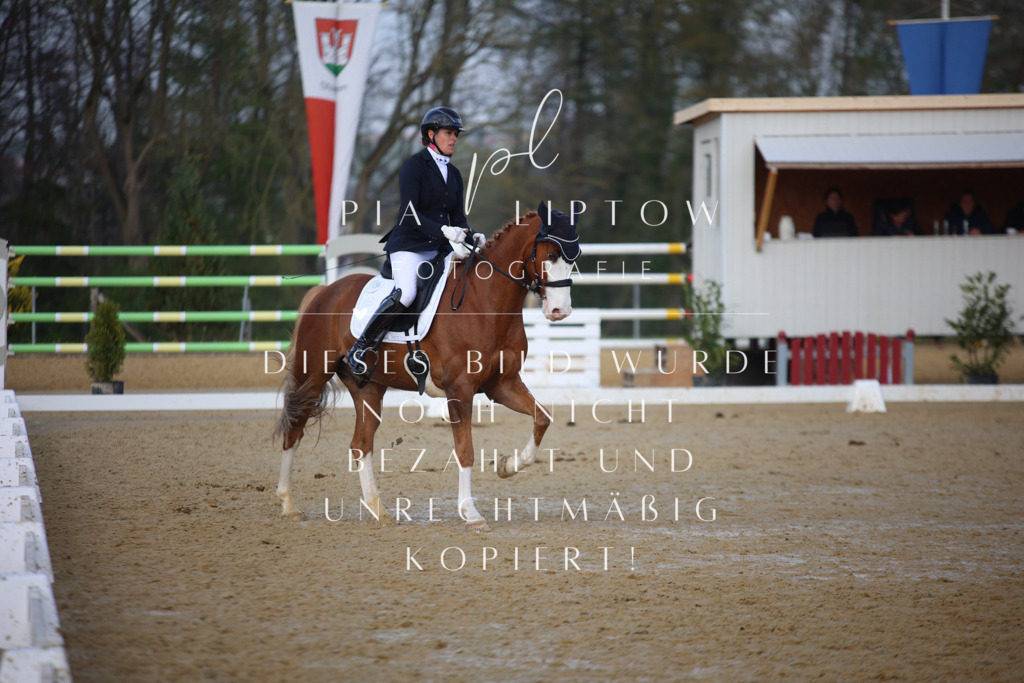 IMGT8463 | pl-fotografie