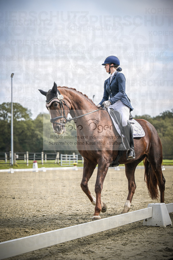 DOS_B643 | Entdecke hochwertige Reitturnierfotos von Foto Oger. Professionell, emotional und authentisch – jetzt Lieblingsmomente im Shop bestellen.Deutschlandweite Turnierfotografie. - Realisiert mit Pictrs.com