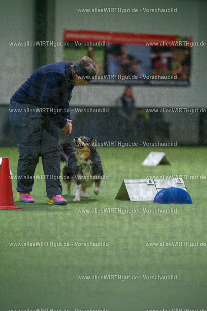 7R504297 | Professionelle Tierfotografie in Mönchengladbach von Daniel Wirth (allesWIRTHgut). Liebevolle & natürliche Bilder von Hunden & Katzen für unvergessliche Erinnerungen.