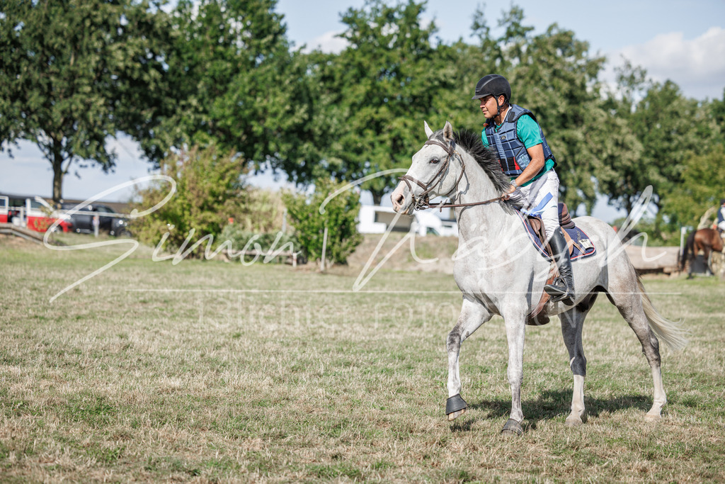 20260905-_3LI9996 | Tierfotografie Pferde, Hunde, Katzen, Haustiere.
Turnierfotografie Reitturniere, Reiten, Springreiten, Dressur in Hanau, dem Main-Kinzig-Kreis und dem Rhein-Main- Gebiet um Frankfurt
