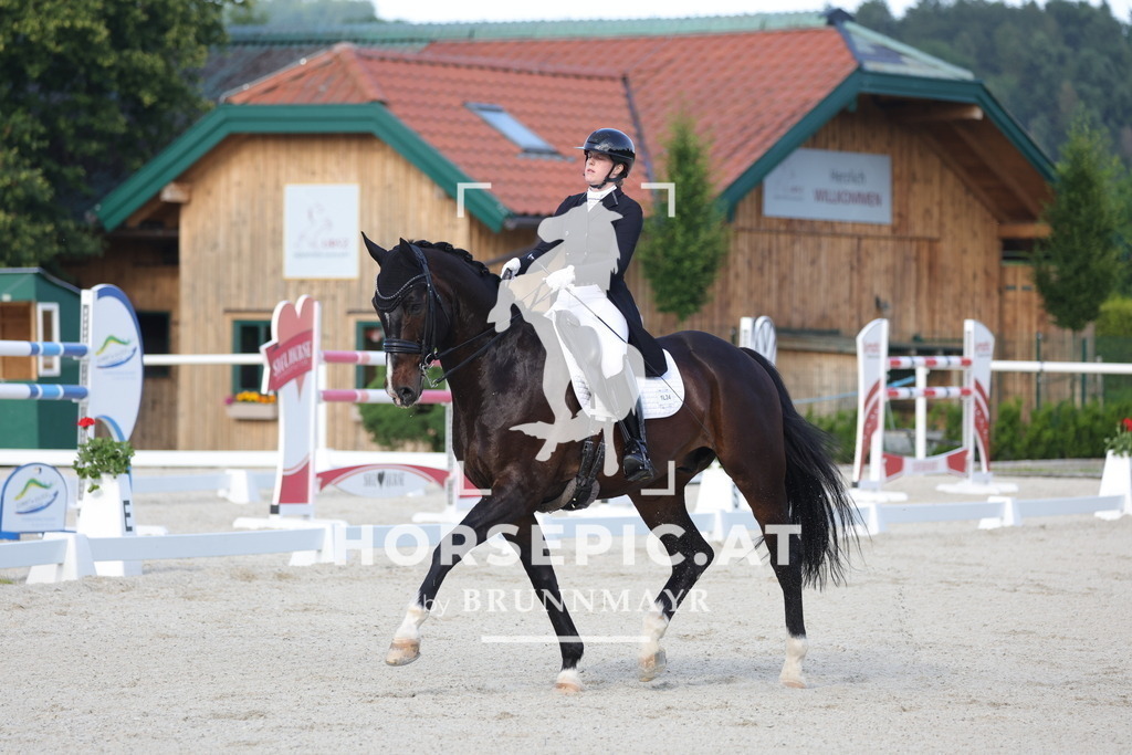 0P6A3749 | Willkommen bei Brunnmayr - Design & Fotografie – Ihrem Spezialisten für Reitturniere und Pferdeveranstaltungen in Oberösterreich, Salzburg und Bayern! Seit über 17 Jahren sind wir leidenschaftlich dabei.