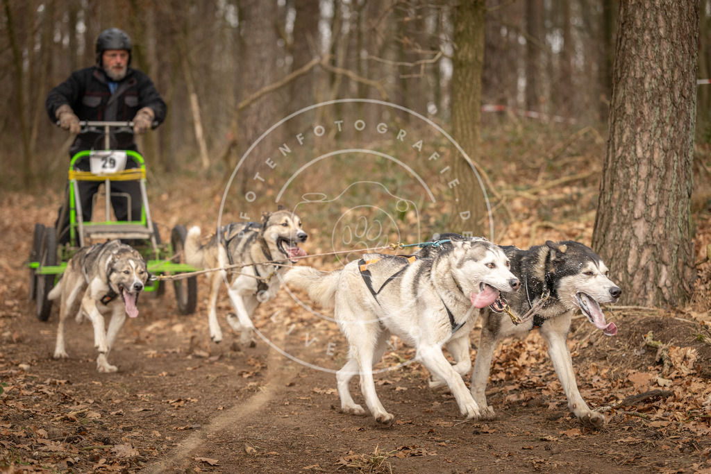 Pfotenfotografie_DV3A8897 | Hundefotografie, Tierfotograf, Pfotenfotografie, Fotoshooting Hund, Hunde Portrait, Hundesport, Hundeportraits, Heideshooting, Hunde, Sportfotograf, Hundefotograf, Turnierhundsport, THS,  - Realisiert mit Pictrs.com