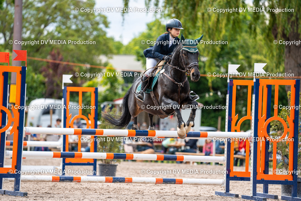 Eppelheim Tag 2-526 | dv-media-shop - Realisiert mit Pictrs.com