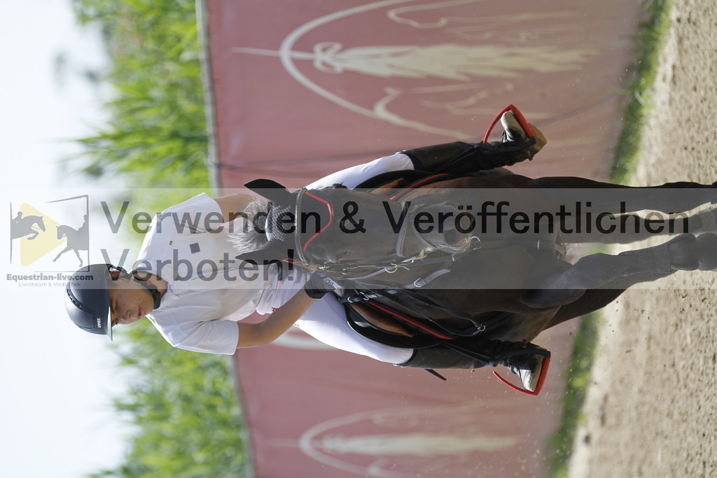 _MG_2597 | equestrian-live-com