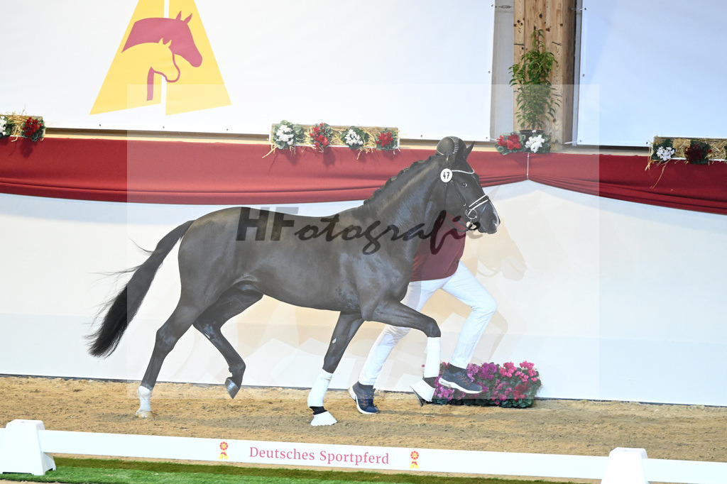 Kat-Nr. 47 Escamillo_Nowak Sonnenbrink GmbH_1230159 | hf-fotografie - Realisiert mit Pictrs.com