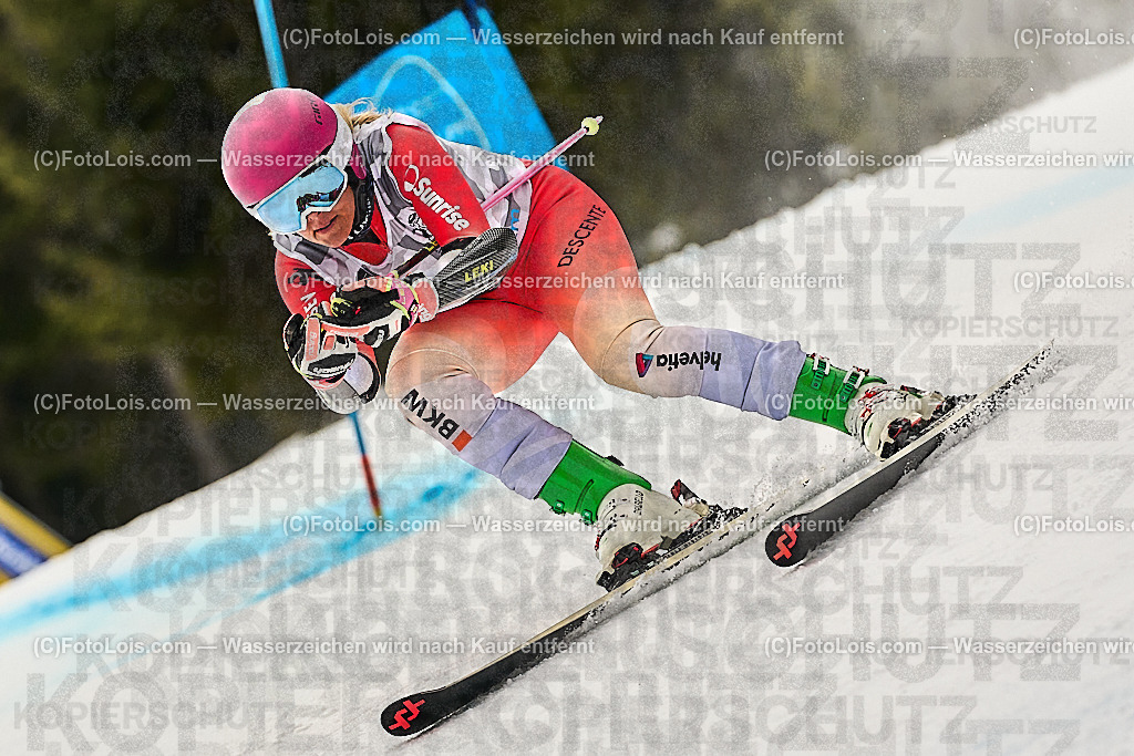 _WWO4308_MASTERS-WM_Reiteralm_CD-SG_MEIER Sibylle | FISWORLD CHAMPIONSHIPSMASTERS ALPINE SKIING, 23. – 28. MÄRZ 2026 - REITERALM | STMK | AUT.   Veranstaltet vom Masters-Referat des Deutschen Skiverbandes (DSV). Durchführende Organisation: WSV Pichl-Reiteralm, unterstütutzt von den Bergbahnen REITERALM bei Schladming und SKI AUSTRIA.                            Disziplinen:  Super-G, GiantSlalom, Slalom.                                                 Kategorien:  A (Herrn 30-59 Jahre), B (Herrn ab 60 Jahre), C (Damen 30-59 Jahre), D (Damen ab 60 Jahre).                Rennstrecken:   Gasselhöhe und Muldenliftpiste auf der Reiteralm.