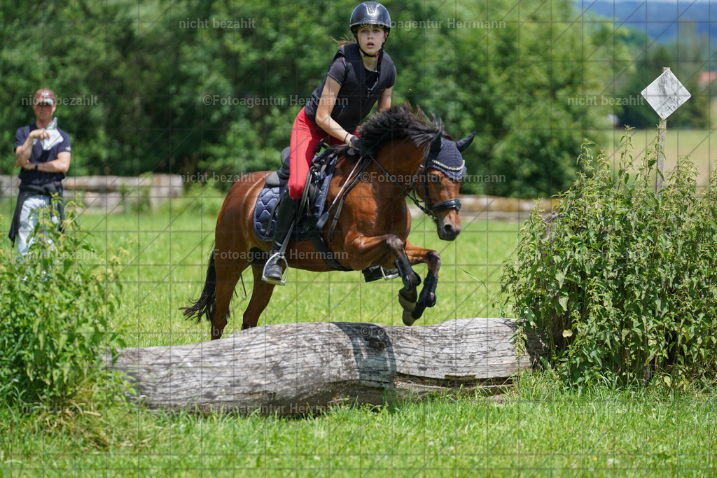 20240622-FAH07288 | Turnierfotografen Bayern, Reitsportbilder aus dem Geländekurs mit Felix Etzel auf dem Gut Waitzacker 2024