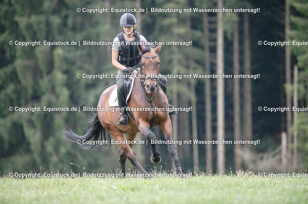 20250726_Vielseitigkeitslehrgang-Marbach_0656 | Foto: Thomas Hartig