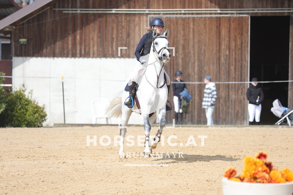 0P6A9616 | Willkommen bei Brunnmayr - Design & Fotografie – Ihrem Spezialisten für Reitturniere und Pferdeveranstaltungen in Oberösterreich, Salzburg und Bayern! Seit über 17 Jahren sind wir leidenschaftlich dabei.