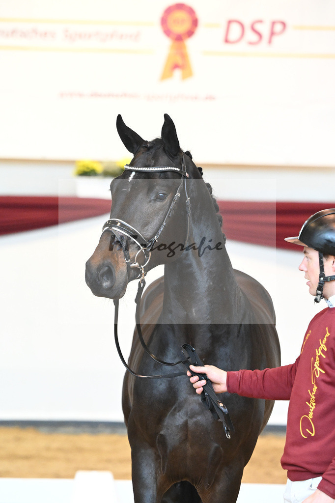 Kat-Nr. 40 v. Lord Europe_Bergmann_66221864 | hf-fotografie - Realisiert mit Pictrs.com