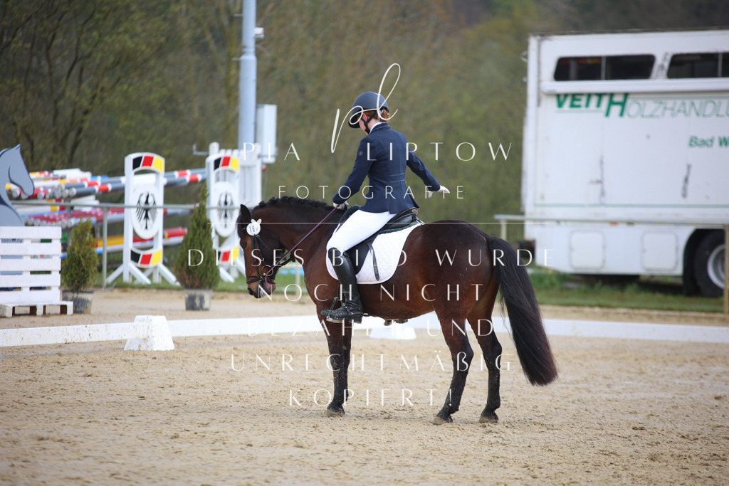 IMGT5128 | pl-fotografie