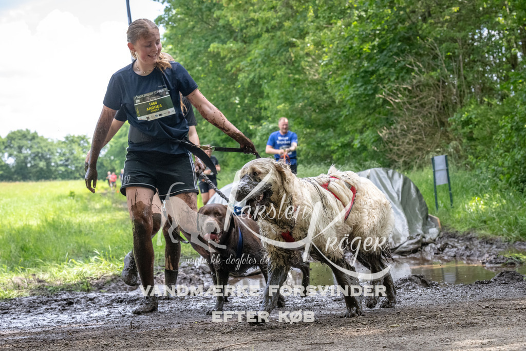 1251_ZZ93949 | kk-dogfotos