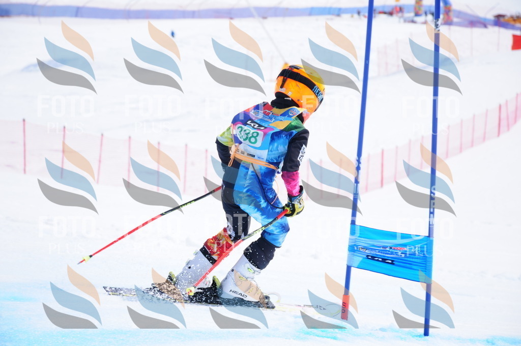 DSC_3265 | holidayphoto