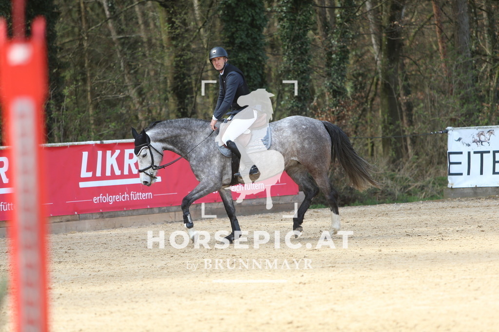 DL2Q9298 | Willkommen bei Brunnmayr - Design & Fotografie – Ihrem Spezialisten für Reitturniere und Pferdeveranstaltungen in Oberösterreich, Salzburg und Bayern! Seit über 17 Jahren sind wir leidenschaftlich dabei.