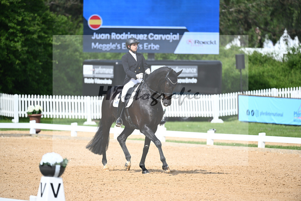 Carvajal_Meggles Enzos Erbe_12241694 | hf-fotografie - Realizzato con Pictrs.com