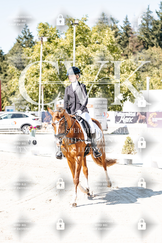 CK902222 | Turnierfotografie Pferdefotografie Trier Rheinland-Pfalz Pferdesport Reitsport Tierfotografie Sportfotografie Pferdevideo Pferdevideografie Equestrianvideography equestrianphotography  - Realisiert mit Pictrs.com
