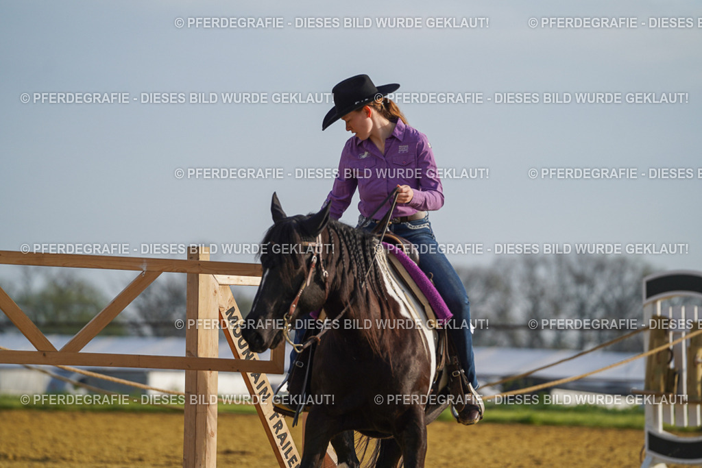 DSC00300 | Pferdegrafie