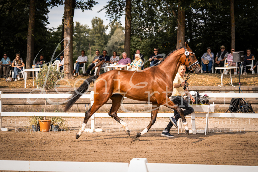 FrER00052 | Leoni Ertmer Photography - Realisiert mit Pictrs.com