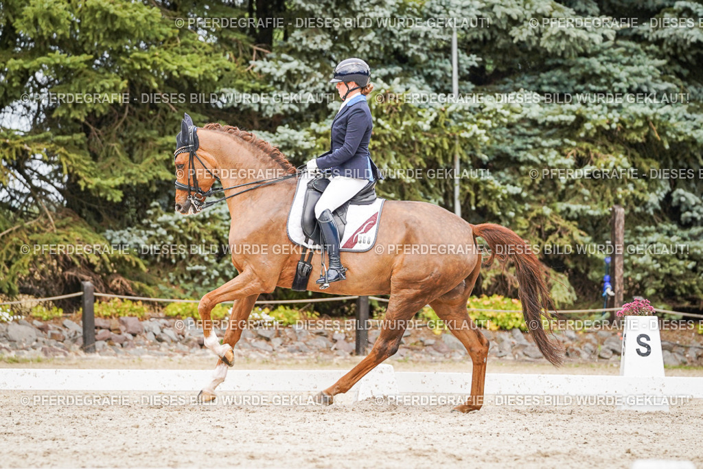 DSC07415 | Pferdegrafie