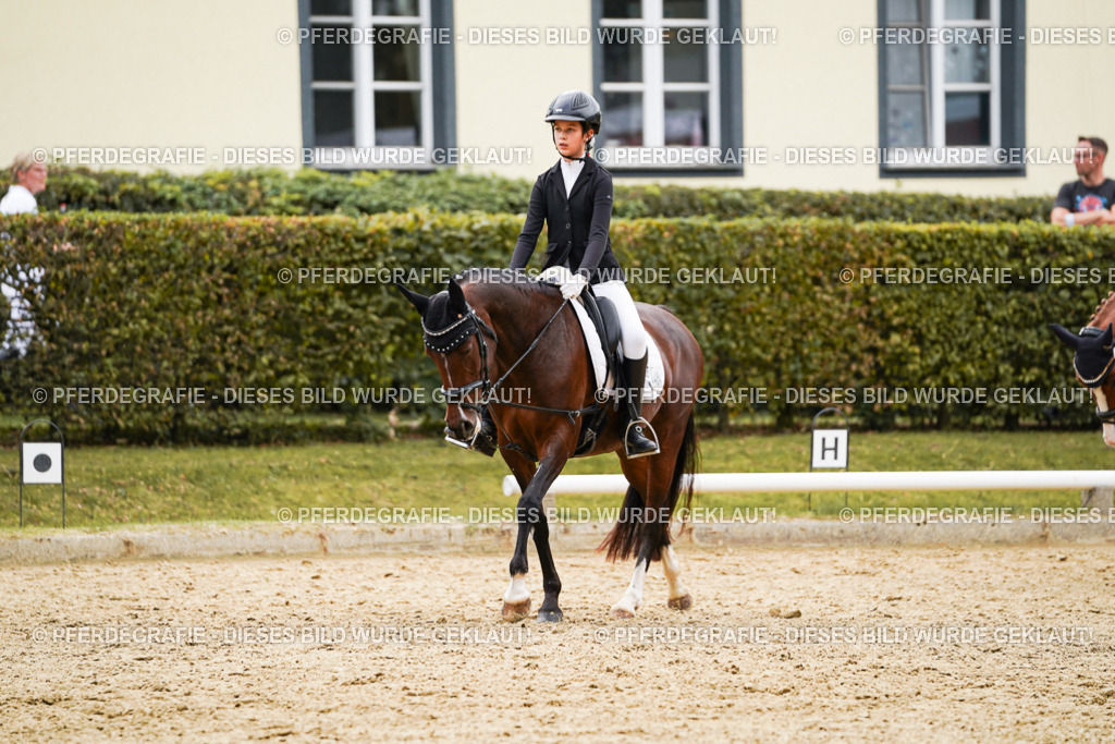 DSC09675 | Pferdegrafie