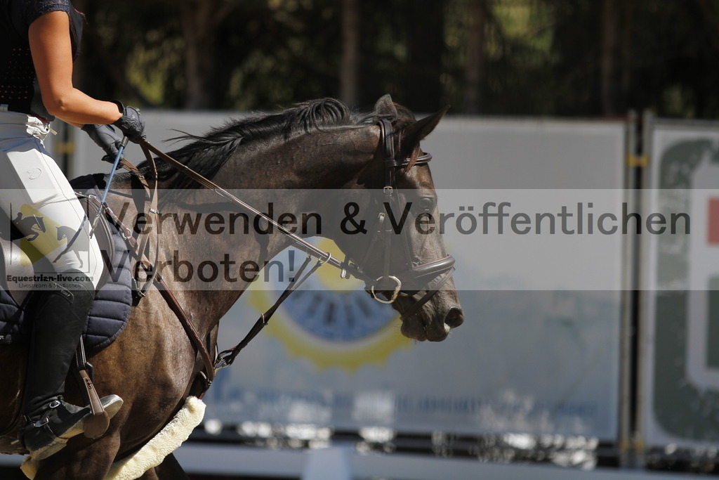 _MG_4797 | equestrian-live-com