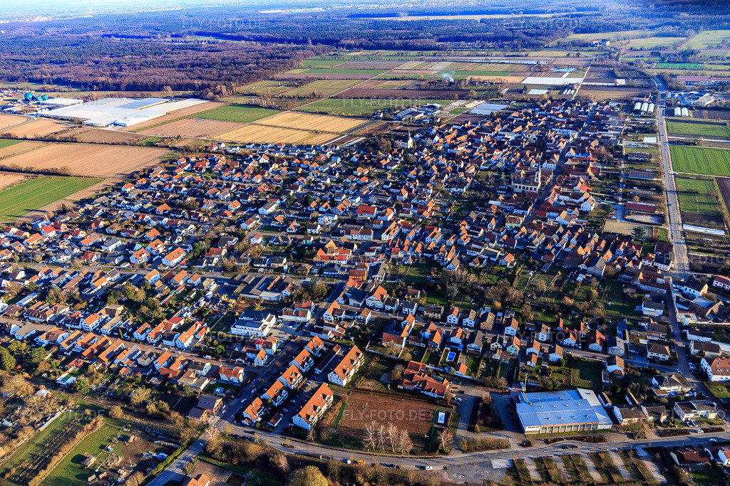 Luftbild: Ortsansicht von Norden in Zeiskam im Bundesland Rheinland-Pfalz in Deutschland. Foto: IMG_126085.jpg vom 07.03.2021 durch Werner Riehm/FLY-FOTO.de