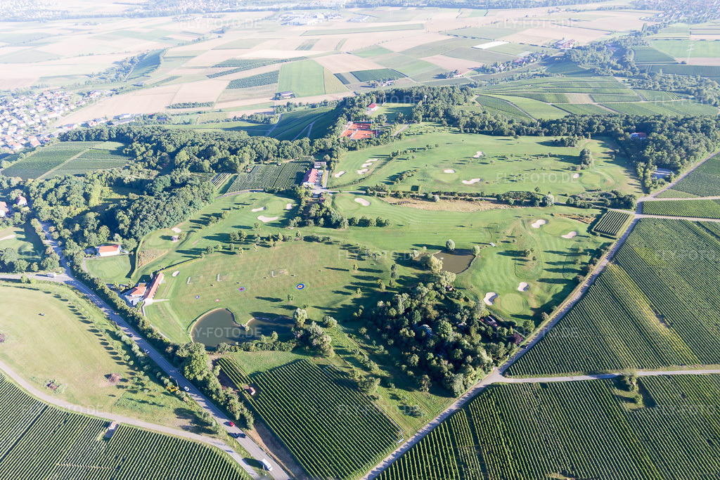 Luftbild: Golf im Ortsteil Treffentrill in Cleebronn im Bundesland Baden-Württemberg in Deutschland. Foto: IMG_093842.jpg vom 23.08.2016 durch Werner Riehm/FLY-FOTO.de