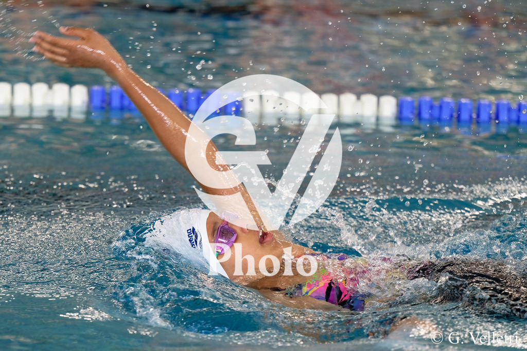 DSC_0672 | Velletri Photo