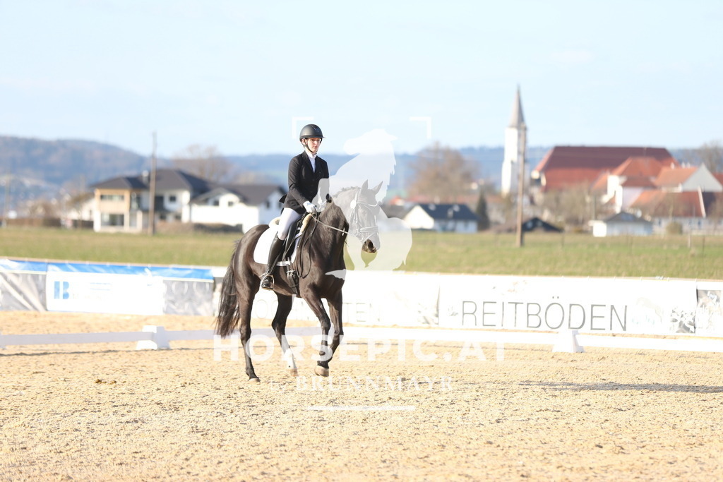 AS8V2179 | Willkommen bei Brunnmayr - Design & Fotografie – Ihrem Spezialisten für Reitturniere und Pferdeveranstaltungen in Oberösterreich, Salzburg und Bayern! Seit über 17 Jahren sind wir leidenschaftlich dabei.