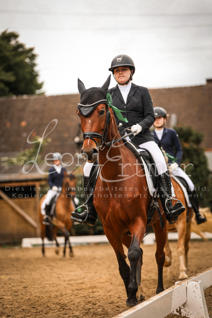 DoDrE00560 | Leoni Ertmer Photography - Realisiert mit Pictrs.com